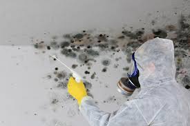 Best Airborne Mold Testing  in Lowell, OR